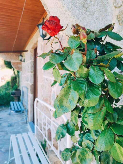 הוילה Melgaço Casa Cabreiros De Baixo מראה חיצוני תמונה